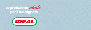 idealitalia